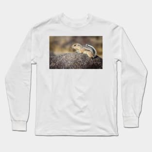 White-tailed Antelope Ground Squirrel Long Sleeve T-Shirt